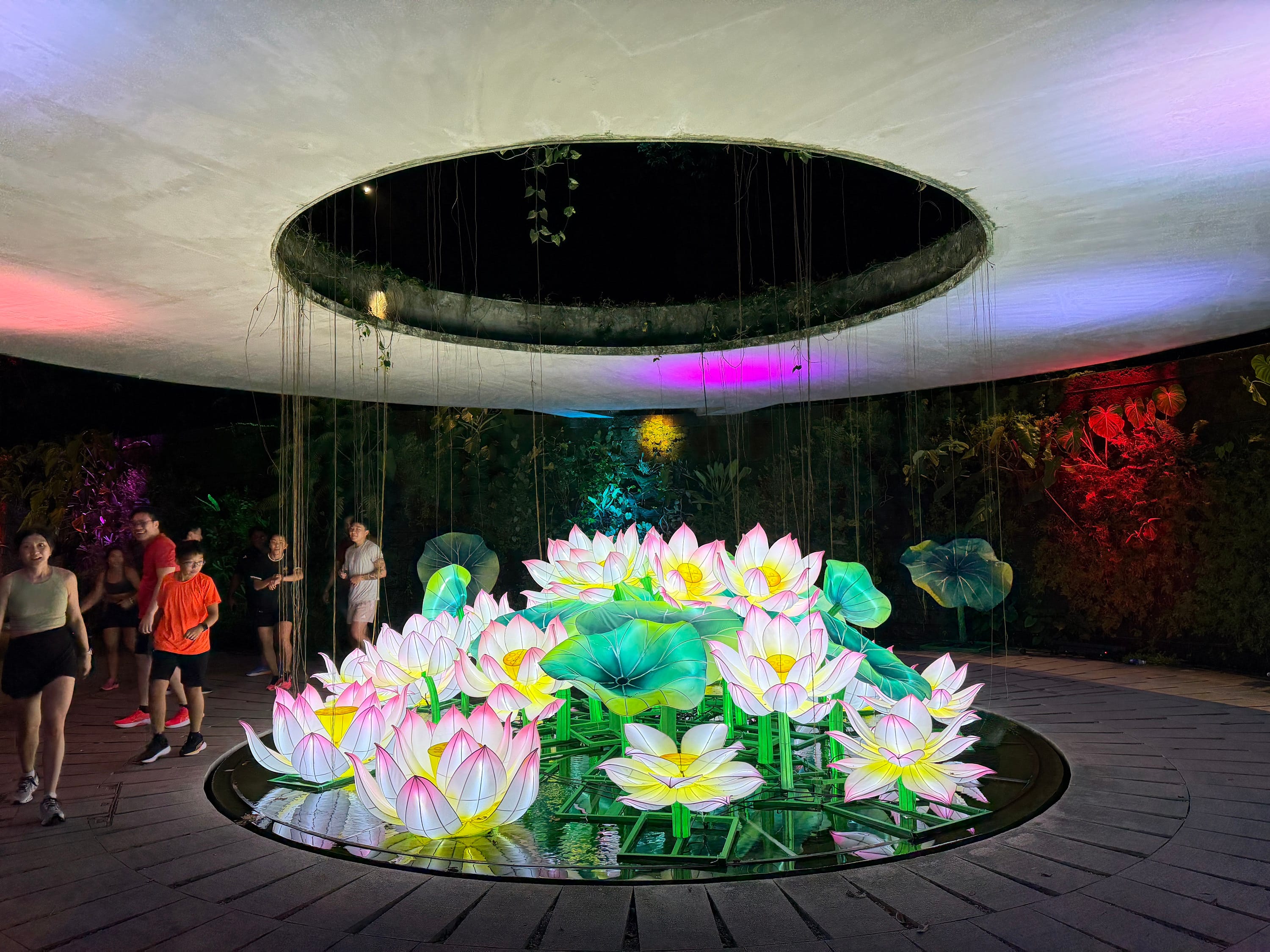 lotus lantern display sets at the cenote within sunken garden